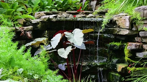 Botanical Garden Inside Waterfall  01svv Stock Footage 47646305