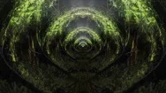 Botanical Garden Morphing Corridor Zoom Abstract Art Stock Footage