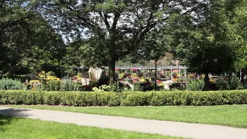 Botanical garden with paths pathways wood overpass structure plants rock Stock Footage 249422013