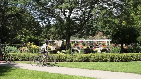 Botanical garden with paths pathways wood overpass structure plants rock Vídeo Stock 249422129