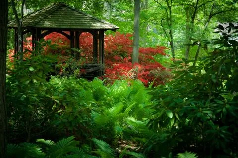 Botanical garden Stock Photos
