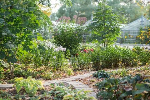 Botanical garden Stock Photos