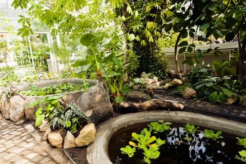 Botanical garden Stock Photos