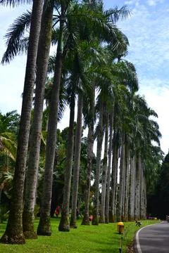 Botanical garden Stock Photos