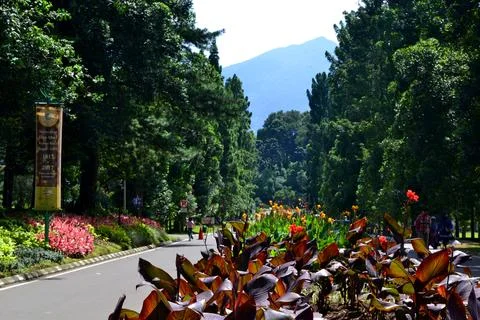 Botanical garden Stock Photos