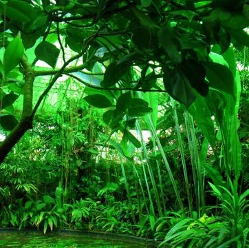 Botanical garden sample Stock Photos