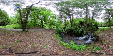 Botanical Garden Stream Forest Path - VR360 360VR Panoramic New Zealand Stock Footage 331553453