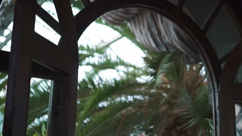 Botanical garden view from round window. Fresh and deep breeze of nature. Stock Footage 195876320