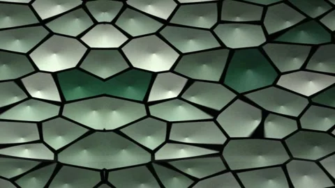 Botanical Geometry Polygon Cell Motion Background Stock Footage 342003422