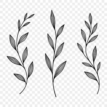 Botanical Hand Drawn Leaf Branch Set, Vector Illustration. Botanical Leaf O.. Stock Illustration