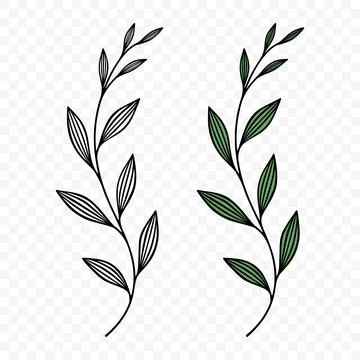 Botanical Hand Drawn Leaf Branch, Vector Illustration. Botanical Green Leaf.. Stock Illustration