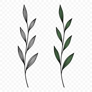 Botanical Hand Drawn Leaf Branch, Vector Illustration. Botanical Green Leaf.. Stock Illustration