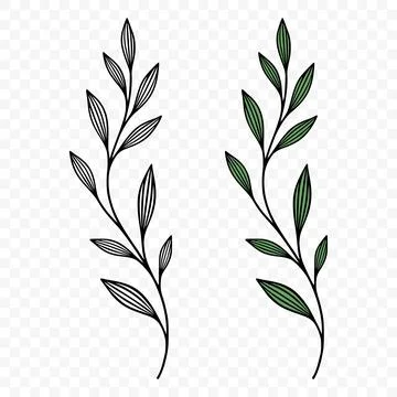 Botanical Hand Drawn Leaf Branch Set, Vector Illustration. Botanical Green .. Stock Illustration