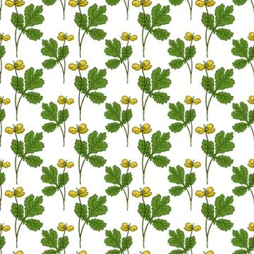 Botanical herbs seamless pattern. Nature print for textile design. Nature pat Stock Illustration
