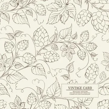 Botanical hops label. Stock Illustration