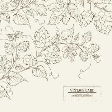Botanical hops label. Stock Illustration