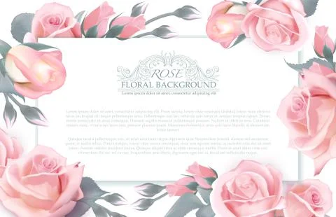 Botanical horizontal banner with roses. Vector concept for beauty salon, spa Illustrazione stock
