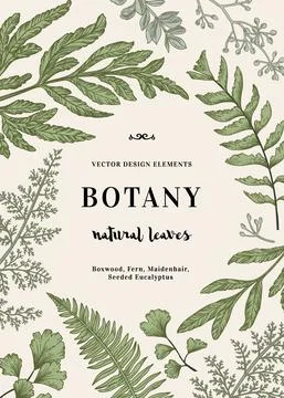 Botanical illustration with leaves. Illustrazione stock