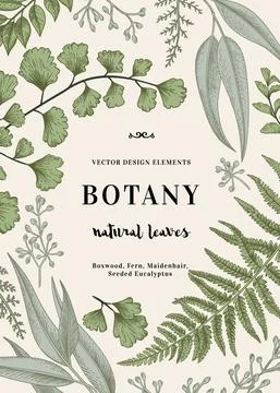 Botanical illustration with leaves. Illustrazione stock
