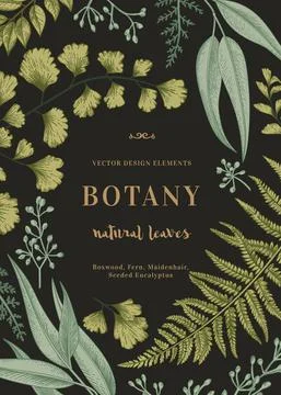 Botanical illustration with leaves. Illustrazione stock