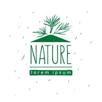 Botanical illustration with pine branches, tree Stock Illustration