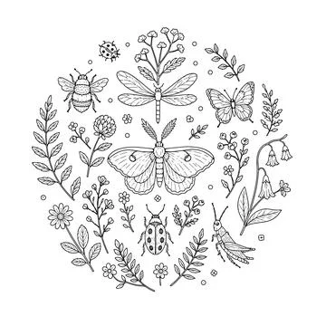Botanical Insects Embroidery Pattern, Luna Moth and Bee Round Hoop Hand Emb.. Stock Illustration