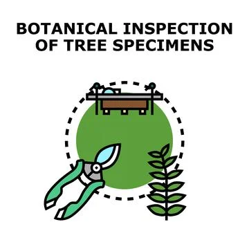 Botanical inspection of tree specimens concept illustration Ilustración de archivo