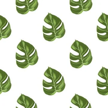 Botanical isolated nature seamless pattern with green hand drawn monstera pri Stock Illustration
