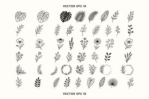 Botanical Leaf Collection Ilustración de archivo