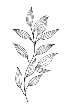 Botanical leaf simple outline sketch doodle hand drawn illustration. Vector.. Illustrazione stock