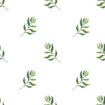 Botanical leaf. Simple seamless pattern of a plant painted with watercolor on a Stock Illustration