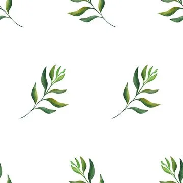 Botanical leaf. Simple seamless pattern of a plant painted with watercolor on a Stock Illustration