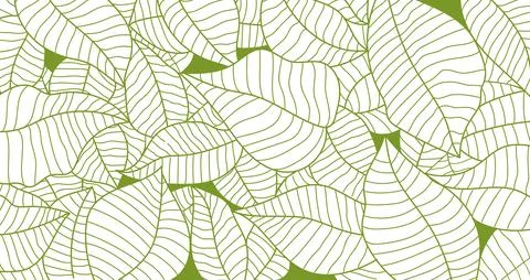 Botanical leaf wallpaper vector. Nature pattern in green isolated on white .. イラスト素材