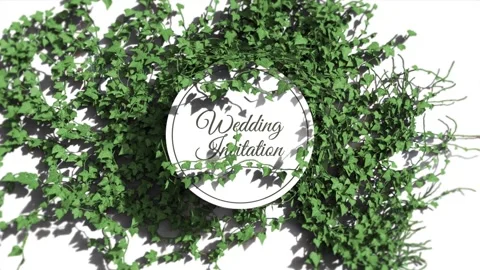 Botanical Leaves Wedding Invitation After Effects stock