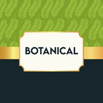 Botanical lettering in poster with leafs pattern and golden frame Stock Illustration