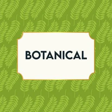 Botanical lettering in poster with leafs pattern 스톡 일러스트