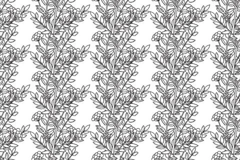Botanical Line art abstract pattern whit plant and flowers vector illustrat.. イラスト素材