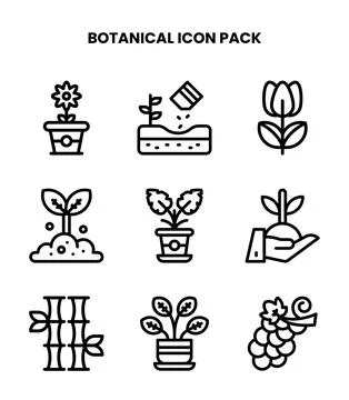 Botanical Line Bundle Icons Pack Stock Illustration
