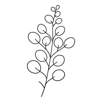 Botanical line of a eucalyptus branch with round leaves, simple black and w.. Stock Illustration