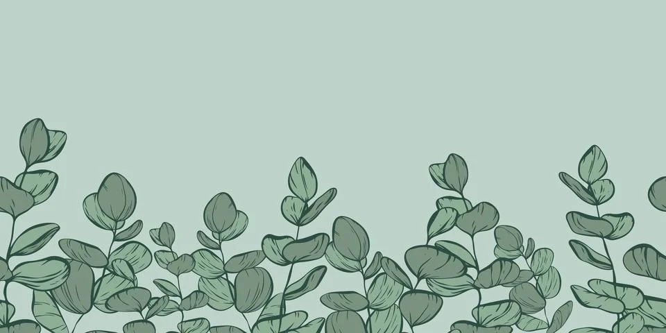Botanical line seamless pattern of a eucalyptus leaves branch Stock Illustration