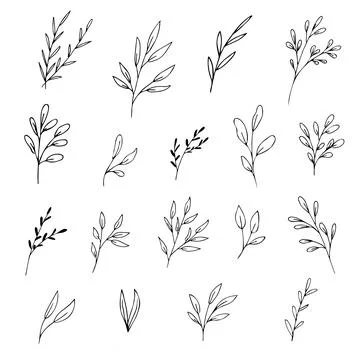 Botanical linear leaf and flowerset. Abstract minimalist leaves collection, c Stock Illustration