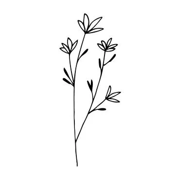 Botanical linear leaf set. Abstract minimalist leaves collection, creative he Stock Illustration