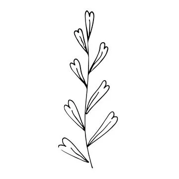 Botanical linear leaf set. Abstract minimalist leaves collection, creative he Stock Illustration