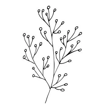 Botanical linear leaf set. Abstract minimalist leaves collection, creative he Stock Illustration