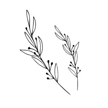 Botanical linear leaf set. Abstract minimalist leaves collection, creative he Stock Illustration