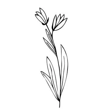 Botanical linear leaf set. Abstract minimalist leaves collection, creative he Illustrazione stock