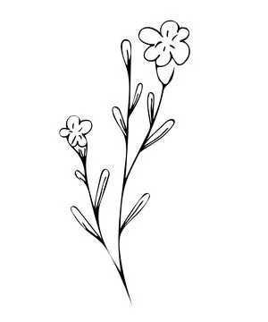 Botanical linear leaf set. Abstract minimalist leaves collection, creative he Stock Illustration