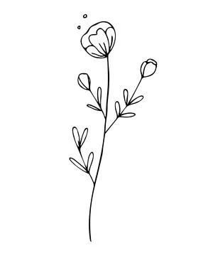 Botanical linear leaf set. Abstract minimalist leaves collection, creative he Stock Illustration