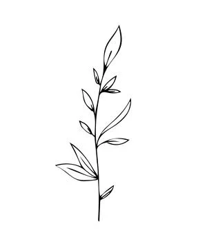 Botanical linear leaf set. Abstract minimalist leaves collection, creative he Stock Illustration