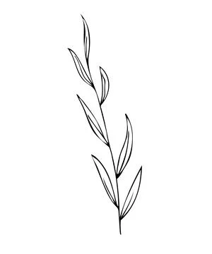 Botanical linear leaf set. Abstract minimalist leaves collection, creative he Stock Illustration